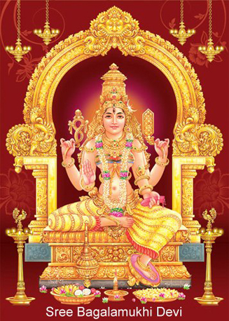 sree bagalamukhi devi