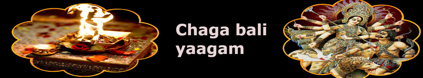 Chaga Bali Yaagam Chaga Bali Yaagam